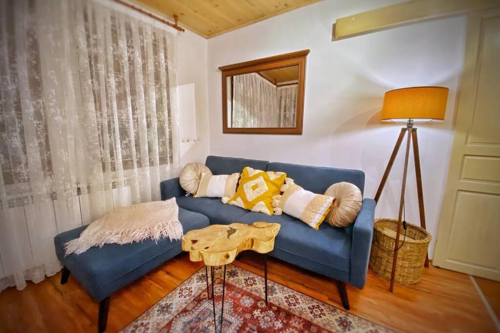 The Secret Lodge- New With Private Garage, Entire House Wielkie Tyrnowo Zewnętrze zdjęcie